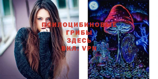 хмурый Каменка