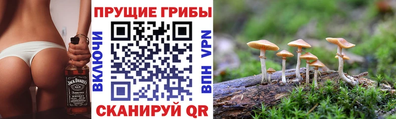 Купить Грязовец Галлюциногенные грибы мухоморы