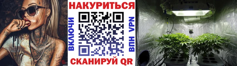 Бошки Шишки конопля  Купить  Грязовец 